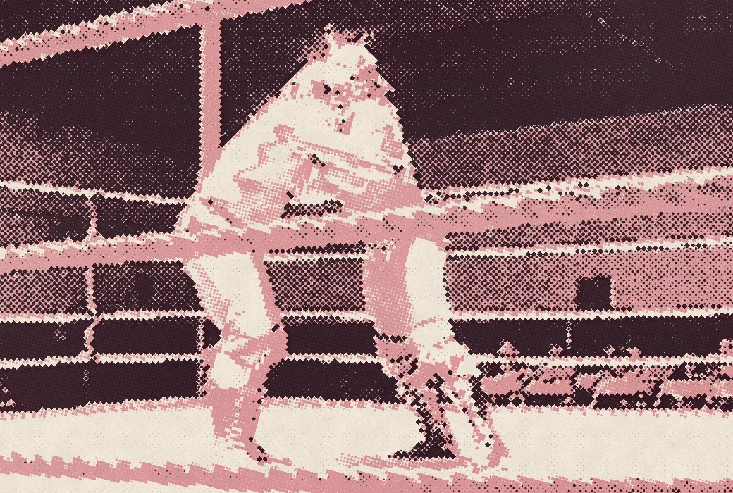 Dos luchadores enmascarados, uno de rojo y uno de azul, trabados en un amarre de cuello detrás de las cuerdas del ring.